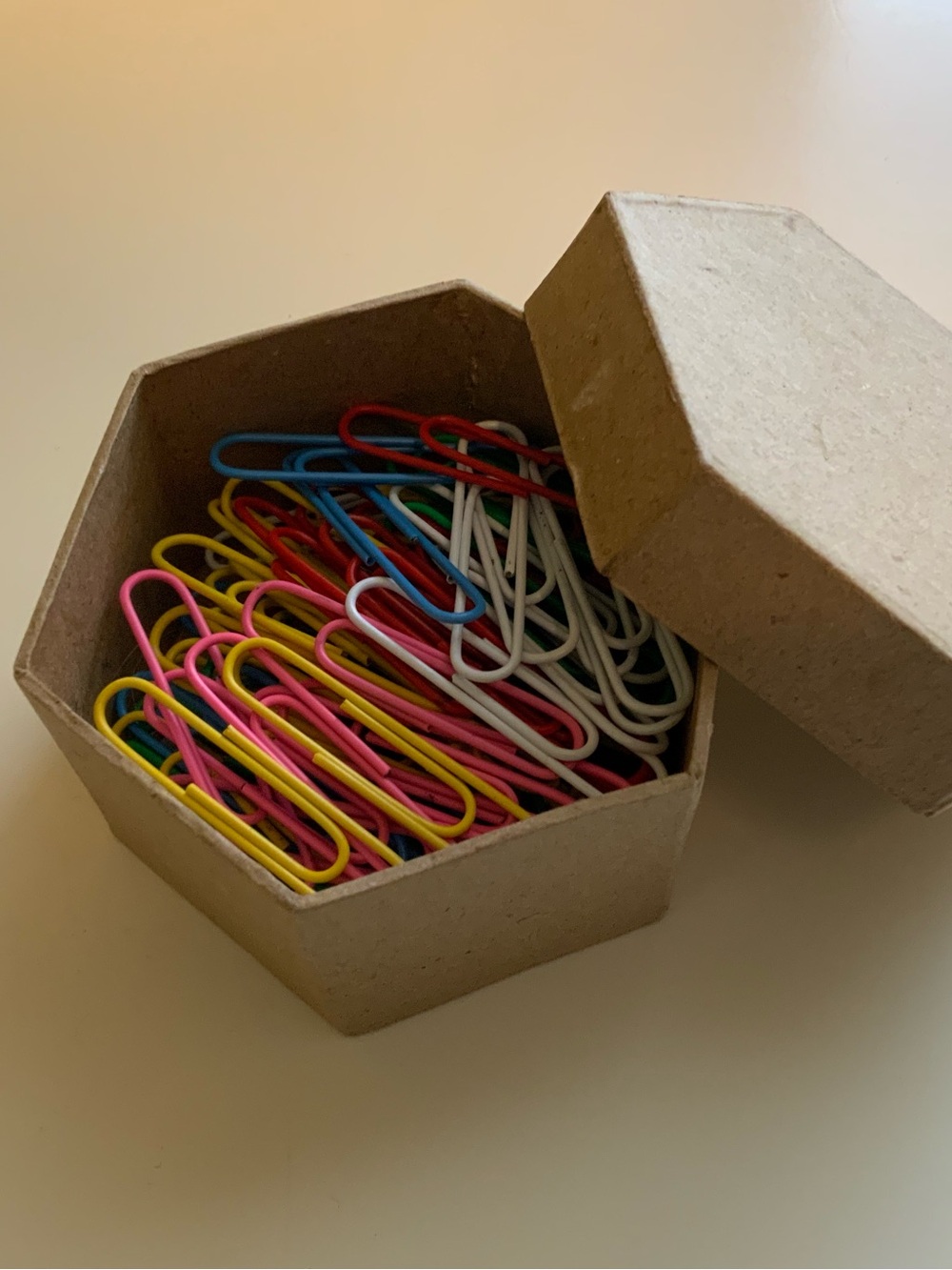 Assorted Vinyl Coated Paper Clips Bulk Set with Kraft Hexagon Storage Box